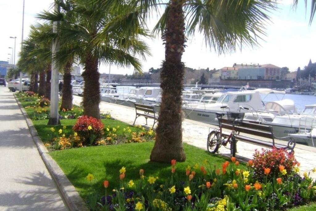 Hygge Zadar Apartment エクステリア 写真